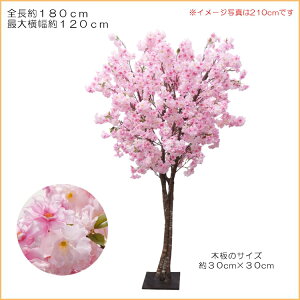 ̖ 180cm (tFCNO[   TN sN lHϗtA CeA   ^ t  fBXvC 蕨   [J[)