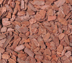 o[N`bv S 1.3kg(yB Ebh`bv ϗtA Ԓd K[fjOpi }`O CeA | ~l ؕ 7bg)