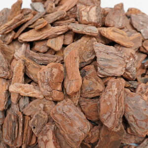 o[N`bv M 1.3kg(yB Ebh`bv Ԓd ϗtA K[fjOpi }`O CeA | ~l ؕ 7bg)