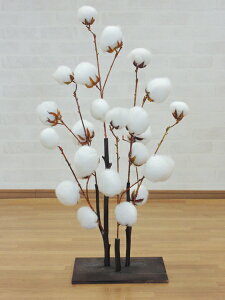 Ȃ̖ 80cm ( lHϗtA Rbg c[ a CeA  ؒ tFCNO[   ItBX X ItBX V{c[  A Ǝ [J[ xXgO[ I