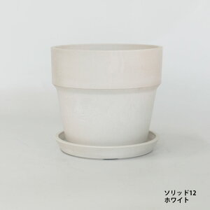 Aؔ  y v \bh12Mt 4 vX`bN Jt v^[ a13,5cm 12cm CG[ ubN uE zCg A[ovc|bg Jt