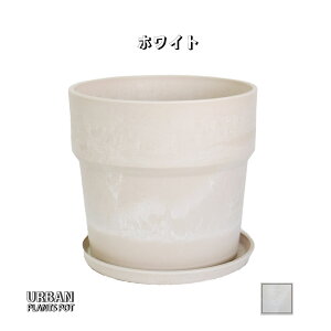 Aؔ  y v \bh18Mt vX`bNJt A[ovc|bg 6 v^[ a19.5cm 18cm