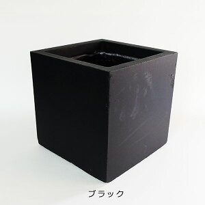 Aؔ  x[^ L[uv^[23 v^[ t@Co[NC 22cm22cm 22cm KONTON