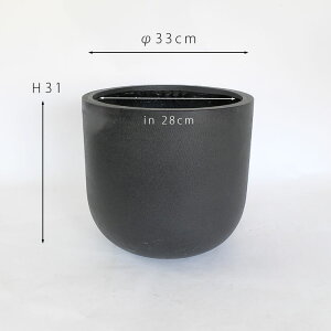 Aؔ  ^ oS eXg[33 Vv mg[ t@C[o[Xg[