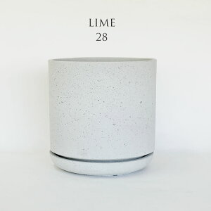 C[|bg28\[T[ Aؔ ^  v^[ t@Co[NC p a28cm 28cm ꌊ
