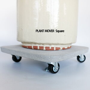 FSvg[o[ XNGA[ ړ Xgbp[t ω׏d60kgx