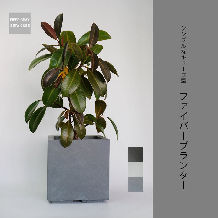 楽天市場】植木鉢 おしゃれ ベータ キューブプランター23 プランター 