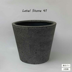 y zAؔ  ^ RjbN eXg[ 41 Jo[^ Vv mg[ t@Co[Xg[