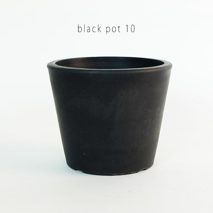 楽天市場 黒プラ鉢 ブラックポット 10 サボテン 頑丈 おしゃれ 塊根植物 多肉 黒プラスチック鉢 コーデックス ガーデニング日和 楽天市場 黒プラ鉢 ブラックポット 10 サボテン 頑丈 おしゃれ 塊根植物 多肉 黒プラスチック鉢 コーデックス ガーデニング日和