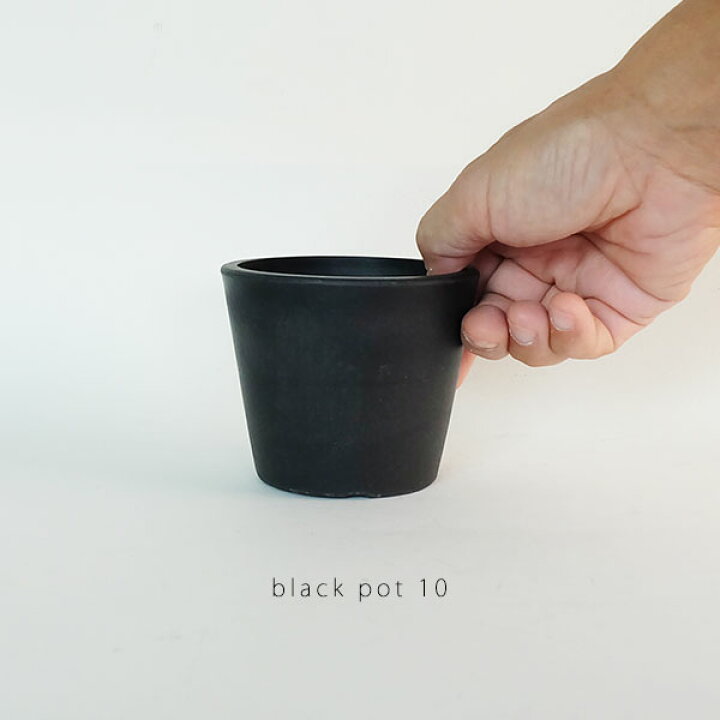 プラ鉢 ホワイトポット 10 サボテン 頑丈 おしゃれ塊根植物 多肉 黒プラスチック鉢 ミニ コーデックス 新しく着き プラ鉢 ホワイトポット 10 サボテン 頑丈 おしゃれ塊根植物 多肉 黒プラスチック鉢 ミニ コーデックス 新しく着き