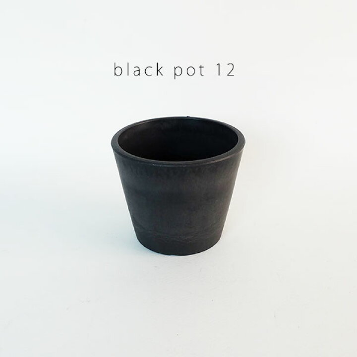楽天市場 黒プラ鉢 ブラックポット 12 Black Plastic Pot おしゃれ 塊根植物 多肉 黒プラスチック鉢 コーデックス ガーデニング日和