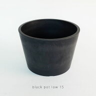 黒プラ鉢 ブラックポット ロータイプ15 サボテン 頑丈 おしゃれ 塊根植物 多肉 黒プラスチック鉢 コーデ…