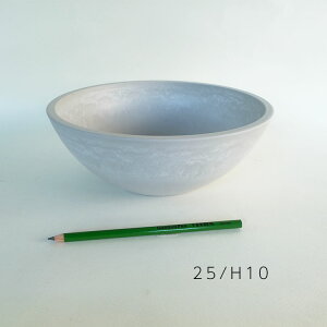 �A�ؔ� �v���X�`�b�N������� �y�� �v���|�b�g �V�����E25�z���C�g �a25cm ��10cm �T�{�e�� ��� �򍪐A�� ���� �R�[�f�b�N�X