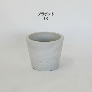 Aؔ vX`bN zCg|bg 10 a10cm8cm 3.5 T{e   vX`bN ~j R[fbNX ^ v