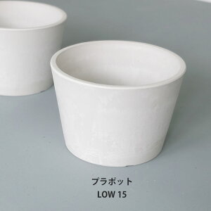 �v���� �z���C�g�|�b�g ���[�^�C�v15 �a15cm��10cm �T�{�e�� ��� ������� �򍪐A�� ���� ���v���X�`�b�N�� �R�[�f�b�N�X