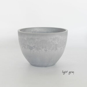 Aؔ W&G |bg bowl 20 T{e   򍪐A  vX`bN zCg O[