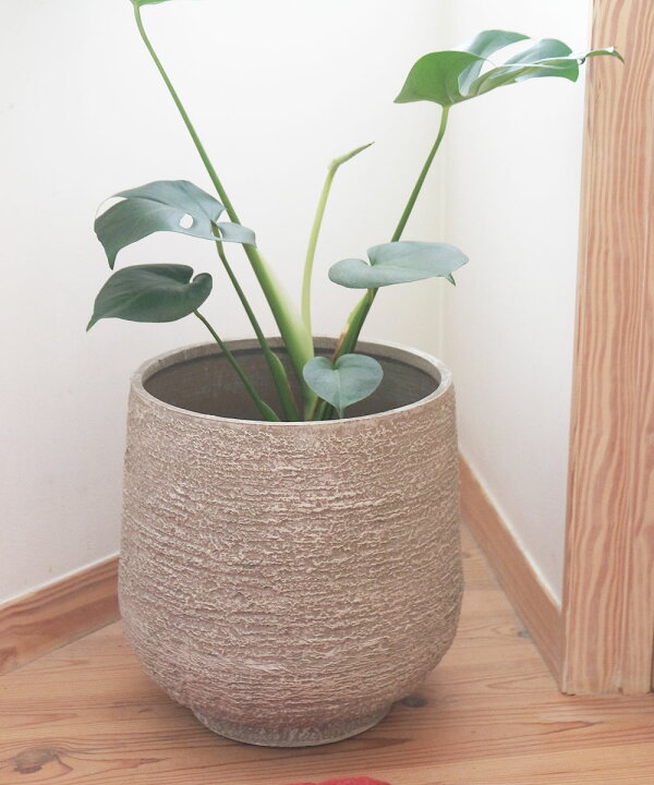 楽天市場】【送料無料 】植木鉢 プラ鉢 おしゃれ 大型 ベンチュラ44 