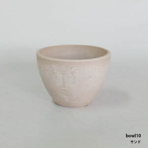 Aؔ v|bg bowl 10 S/C a10.5cm 8cm ^ v T{e  򍪐A  R[fbNX ~j
