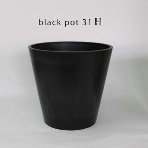  v ubN|bg 31nC^Cv ^ a31cm30cm T{e   򍪐A  vX`bN@Aؔ 10 R[fbNX v^[ black pot