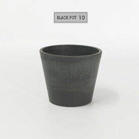 黒 プラ鉢 ブラックポット 10 サボテン 頑丈 おしゃれ 塊根植物 多肉 黒プラスチック鉢 コーデックス