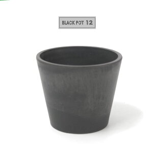Aؔ ubN|bg12 black plastic pot a12cm 10cm black plastic pot 4 AKx R[fbNX T{e