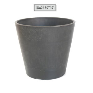 Aؔ ubN|bg17 black plastic pot   򍪐A  vX`bN a17cm 13.5cm X^_[h black pot  5