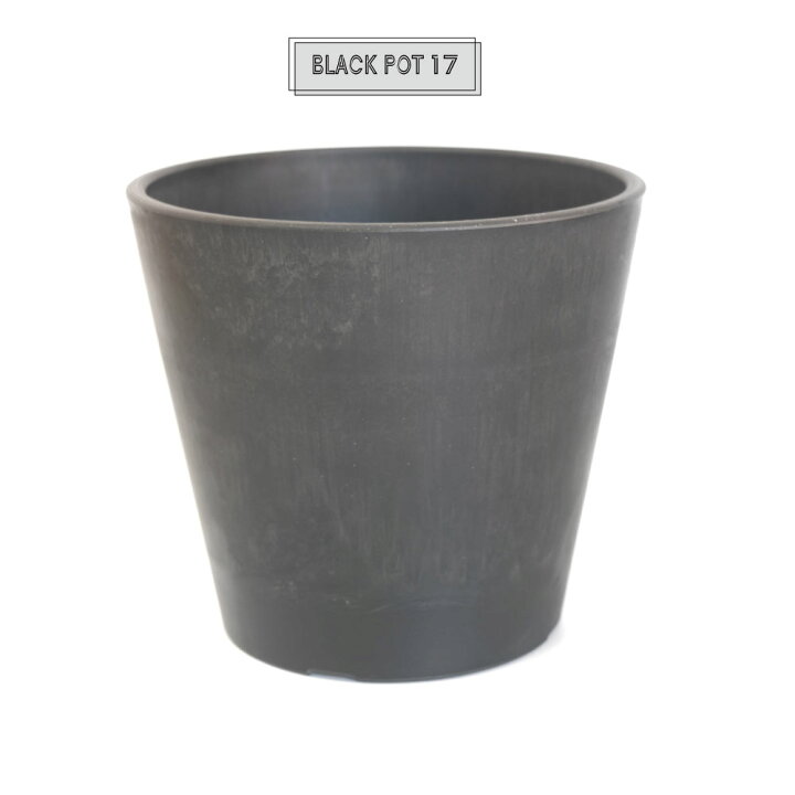 楽天市場】植木鉢 ブラックポット17 black plastic pot 頑丈 おしゃれ 