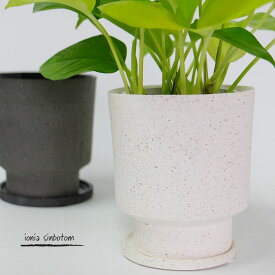 植木鉢 おしゃれ 陶器鉢 イオニアシンボトムM 受皿付 かわいい 鉢径12cm 高13cm 4号ホワイト グレー 底穴あり 白鉢 ミュールミル ミュールミル