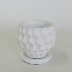 Aؔ 킢 JC{[S Mt 픫