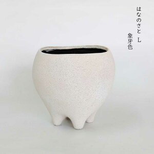 ͂Ȃ̂L Aؔ  Z~bN amܒ ꌊ a17.5cm 16.5cm a ~[~