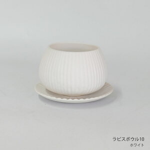 Aؔ  픫 sX{E10 Mt Z~bN ֖ a10.5cm 7.5cm ꌊ 킢 ~jT{e