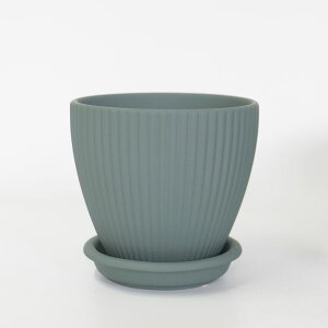 Aؔ  Calm15 픫 Mt 5 a15cm 14cm ꌊ