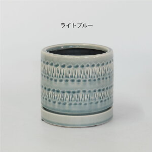 A  Sentir13 픫  a13.5cm 12cm ꌊ ^ gR tronco ẴK[fjOIIi菤ij