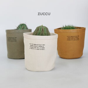 [֑IZuccu S 10 Aؔ Jo[ 