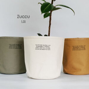 [֑IZuccu L 21 Aؔ Jo[ 