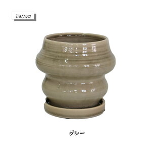 Aؔ rafinato Narrow 12 Mt a12cm 11cm ꌊgR tronco