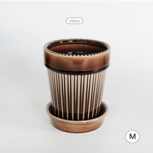 픫 Kaunis Standard Mt ꌊ Z~bN gR tronco 2 4 k Jt