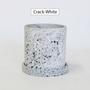 Meld Mt ꌊL l΍ Vv V_[ Aؔ  mg[ VbN a10-13cm 10-13cm S/MTCY ubN zCg O[ }[u 6FWJ gR tronco