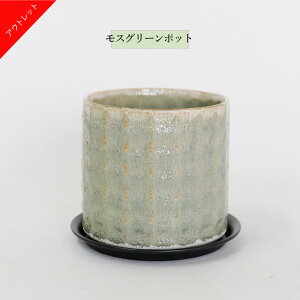 Aؔ  XO[|bg ACA\[T[t i a13.5cm 10cm