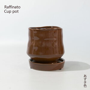 픫 Raffinato Cup pot ꌊ Z~bN a11.5cm 11cm 4