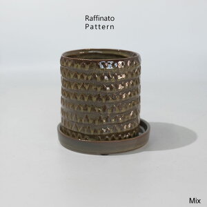 픫 Raffinato Pattern pot ꌊ Z~bN a11.5cm 11cmgR tronco ϗtA  A sA
