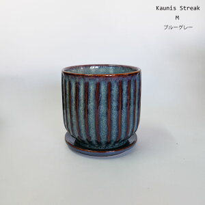 픫 Kaunis Streak Mt yS/Mz MtZ~bN ꌊ a15.5cm 14.5cm a12.5cm 11.5cm tronco a