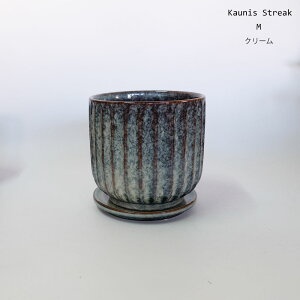 픫 Kaunis Streak Mt yS/Mz MtZ~bN ꌊ a15.5cm 14.5cm a12.5cm 11.5cm tronco a