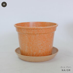 Aؔ 킢 Mt X^_[h GRf vX`bN ݊k GR|bg Jt y y ɗD Laula a13.5-16.5cm 10.5-12.5cm S/MTCY 8FWJ     ? IW