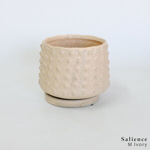 Aؔ   ZCX Mt 45 lCr[EAC{[EuE Sa9 10.5 Ma12.5 12