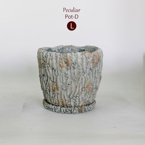 Aؔ  ΍ޒ  ┧ Peculiar Mt a13.5-14.5cm 12cm ꌊ Zg|bg gR tronco MTCY LTCY