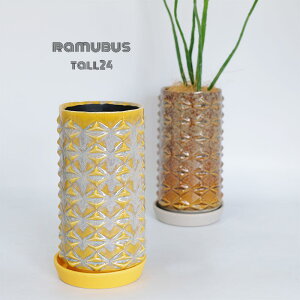 Aؔ  탉oXg[12/24 Mt a12cm 23cm Z~bN|bg [ ꌊ CG[ uE