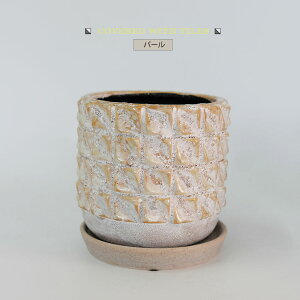 Aؔ  ^CbV|bg Mt 픫 a13cm 12cm ꌊ