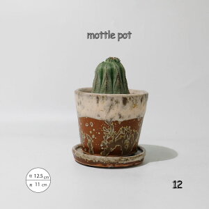 Aؔ  g|bg tzCg12 Mt 픫 Z~bN a12.5cm 11cm ꌊ 4