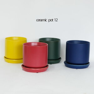 DULTON Z~bN|bg 12 픫  Mt Z~bN a12cm 13cm ꌊ